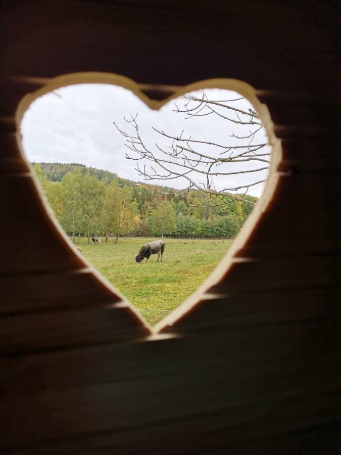 Zazitkovy Pobyt Uprostred Prirody Zelezny Brod Exteriör bild